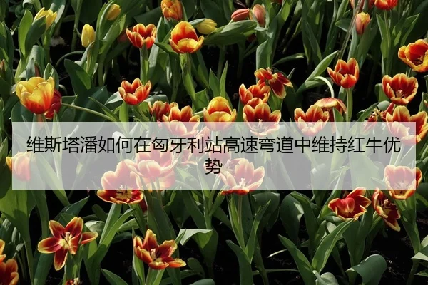 wei-si-ta-pan-ru-he-zai-xiong-ya-li-zhan-gao-su-wan-dao-zhong-wei-chi-hong-niu-you-shi-2-408.jpg
