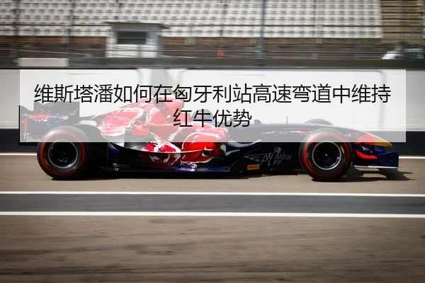 维斯塔潘如何在匈牙利站高速弯道中维持红牛优势