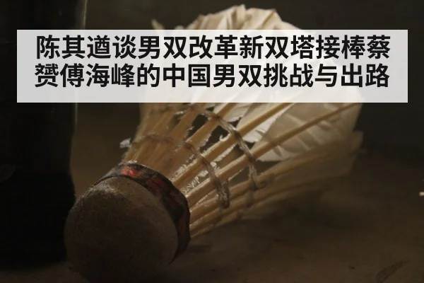 陈其遒谈男双改革新双塔接棒蔡赟傅海峰的中国男双挑战与出路